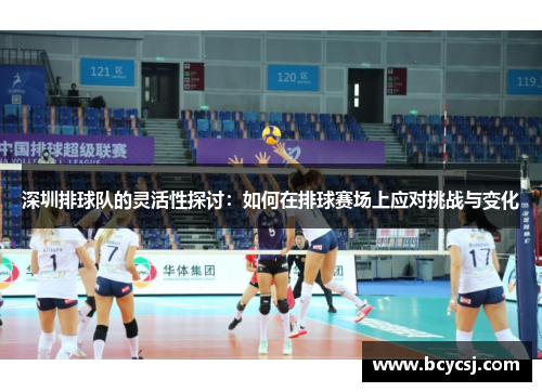 深圳排球队的灵活性探讨：如何在排球赛场上应对挑战与变化