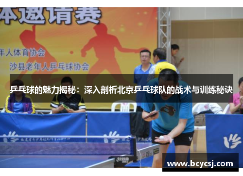 乒乓球的魅力揭秘：深入剖析北京乒乓球队的战术与训练秘诀
