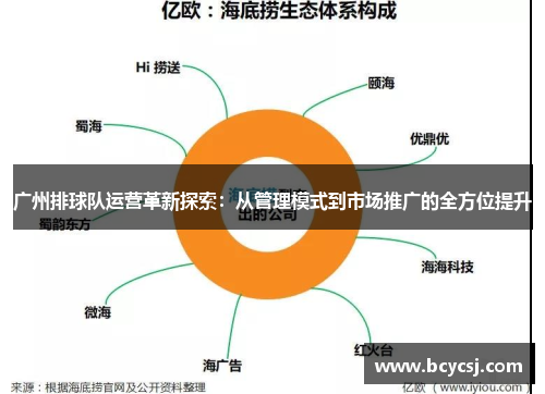 广州排球队运营革新探索：从管理模式到市场推广的全方位提升