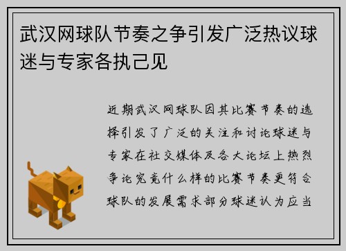 武汉网球队节奏之争引发广泛热议球迷与专家各执己见