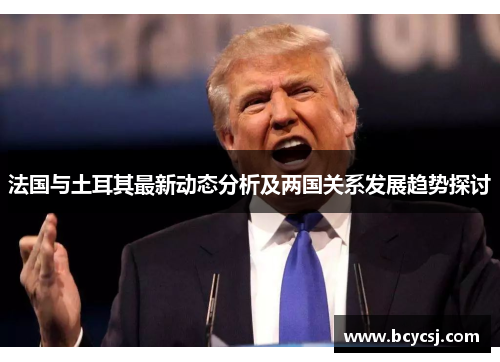 法国与土耳其最新动态分析及两国关系发展趋势探讨
