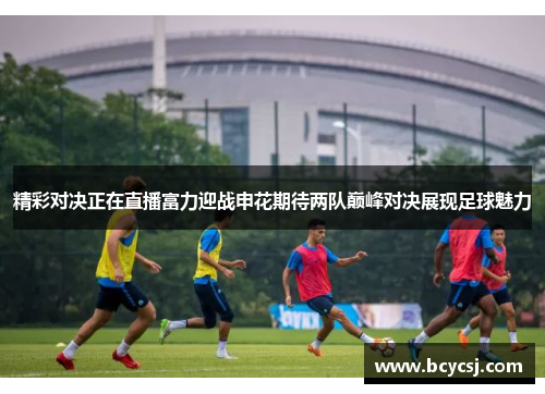 精彩对决正在直播富力迎战申花期待两队巅峰对决展现足球魅力